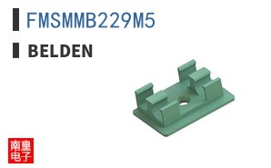 FMSMMB229M5