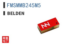 FMSMMB245M5
