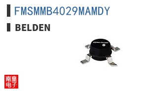 FMSMMB4029MAMDY