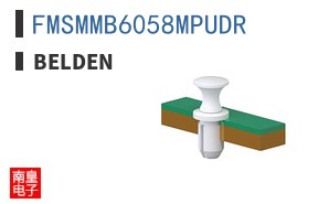 FMSMMB6058MPUDR