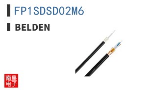 FP1SDSD02M6