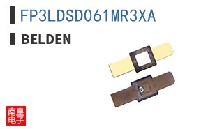 FP3LDSD061MR3XA