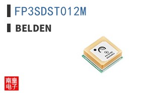 FP3SDST012M