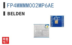 FP4MMMM002MP6AE