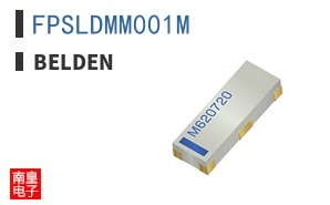 FPSLDMM001M