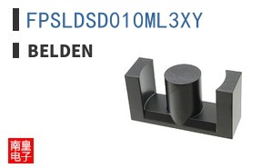 FPSLDSD010ML3XY