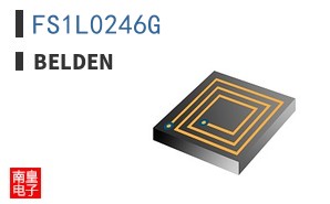 FS1L0246G