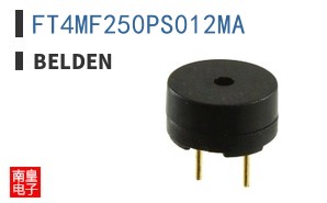 FT4MF250PS012MA