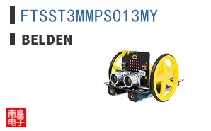 FTSST3MMPS013MY