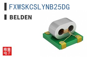 FXWSKCSLYNB25DG