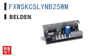 FXWSKCSLYNB25WM