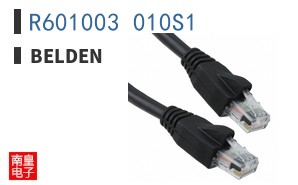 R601003 010S1