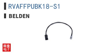 RVAFFPUBK18-S1
