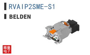 RVAIP2SME-S1