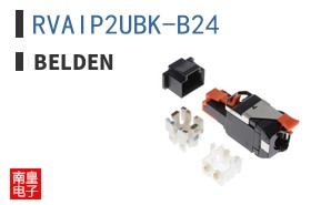 RVAIP2UBK-B24