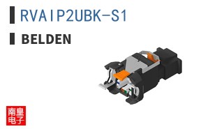RVAIP2UBK-S1