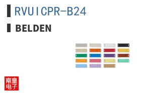 RVUICPR-B24