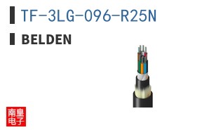 TF-3LG-096-R25N