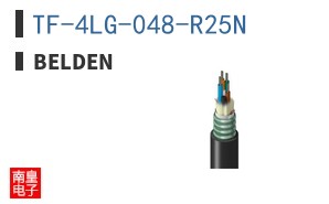 TF-4LG-048-R25N