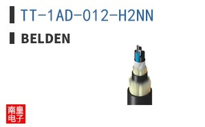 TT-1AD-012-H2NN