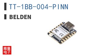 TT-1BB-004-PINN