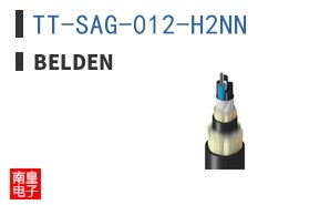 TT-SAG-012-H2NN