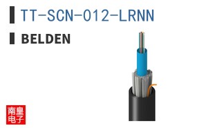 TT-SCN-012-LRNN