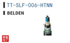 TT-SLF-006-HTNN