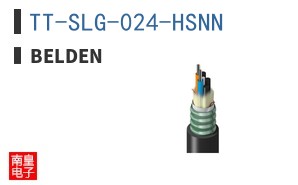 TT-SLG-024-HSNN