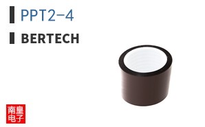 PPT2-4