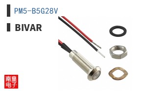 PM5-B5G28V