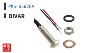 PM5-B5W28V