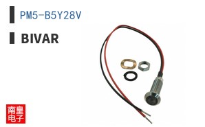 PM5-B5Y28V