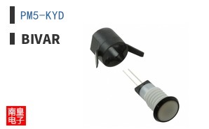 PM5-KYD