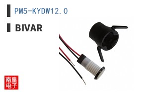 PM5-KYDW12.0