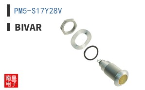 PM5-S17Y28V