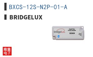 BXCS-12S-N2P-01-A