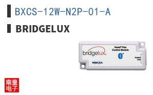 BXCS-12W-N2P-01-A