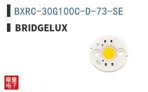 BXRC-30G100C-D-73-SE