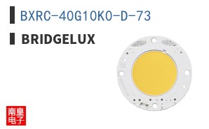 BXRC-40G10K0-D-73