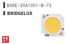 BXRE-30A1001-B-73