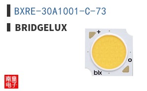 BXRE-30A1001-C-73