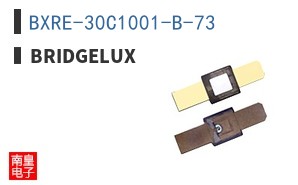 BXRE-30C1001-B-73