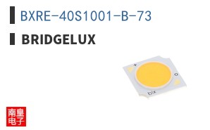 BXRE-40S1001-B-73