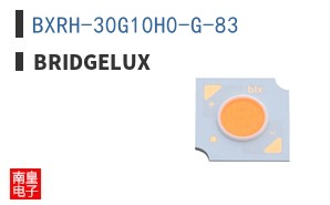 BXRH-30G10H0-G-83