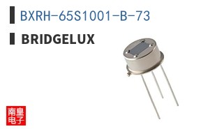 BXRH-65S1001-B-73