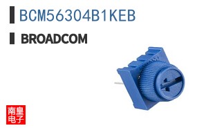 BCM56304B1KEB