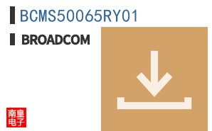 BCMS50065RY01
