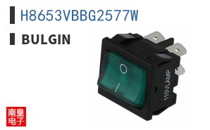 H8653VBBG2577W