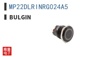 MP22DLRINRG024A5